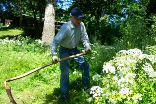 2005 Arbejdsdag Forår. Foto: Birgit