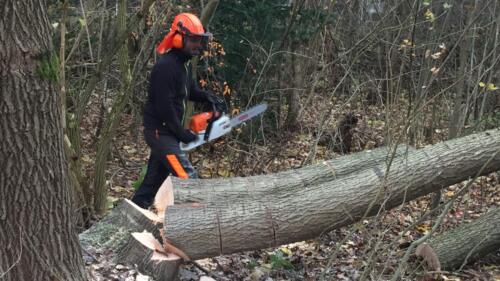 2019 Arbejdsdag_Efterår. Marcus. Foto: Birgit