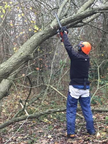 2019 Arbejdsdag_Efterår. Niller. Foto: Birgit