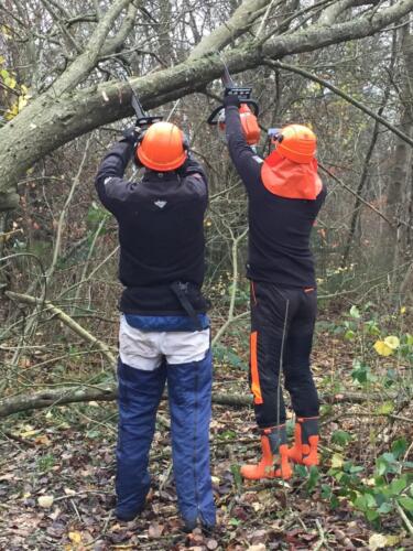 2019 Arbejdsdag_Efterår. Marcus og Niller. Foto: Birgit