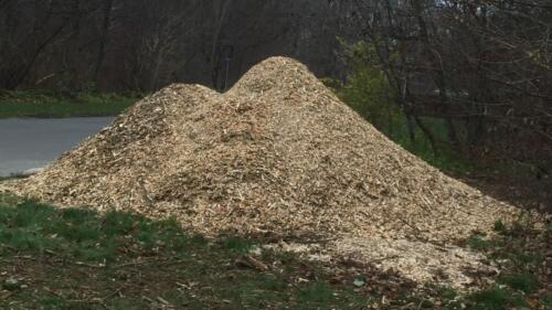 2019 Arbejdsdag_Efterår. Flisbunken. Foto: Birgit