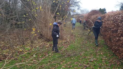 2019_Arbejdsdag_Efterår. Birgit og Mette slæber grene til flis. Fot: Niller