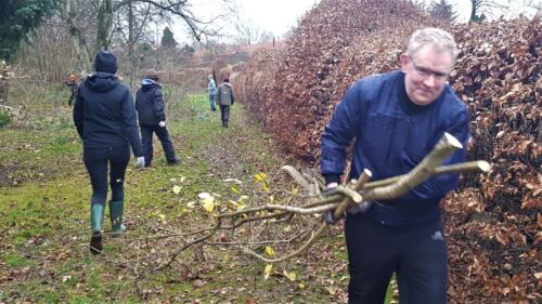 2019_Arbejdsdag_Efterår. Martin i forgrunden slæber grene til flis. Foto: Niller