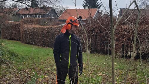 2019_Arbejdsdag_Efterår. Marcus. Foto: Niller