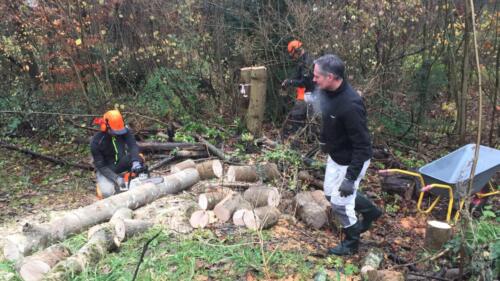 Arbejdsdag_2021_11_28. Niller, Marcus og Kenneth tog sig af de 2 udgået træer