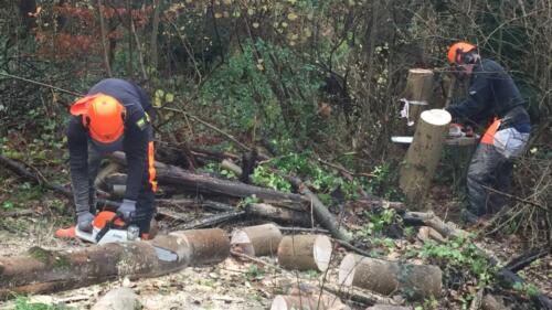 Arbejdsdag_2021_11_28. Niller og Marcus håndterede motorsavene