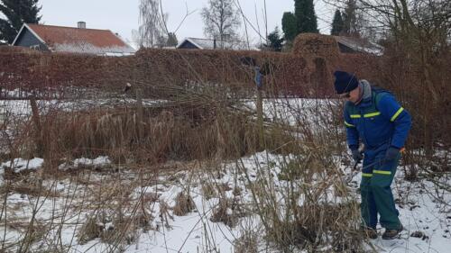 Vinterarbejdsdag februar 2021