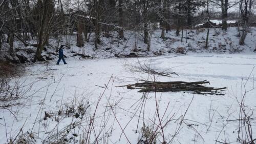 Vinterarbejdsdag februar 2021