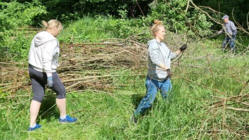 Inger og Sol knokler grene over på bålet