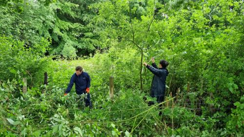 Når nu bænken skal op, skal udkigget til søen etableres