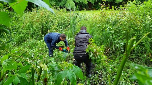 Det er det rene sisyfos-arbejde