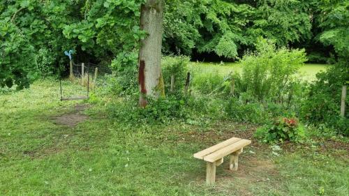 Gynge og bænk og Søren gjorde et ihærdigt forsøg på at fjerne tags på egetræet. Det blev til en rød-eg!