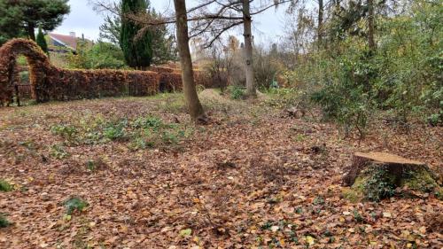 Området blev ryddet helt!