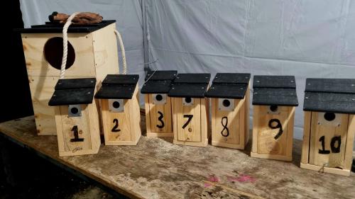 Resultat: En uglekasse og 7 småfuglekasser