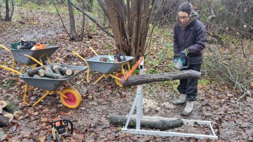 Anna klarede opsavningen