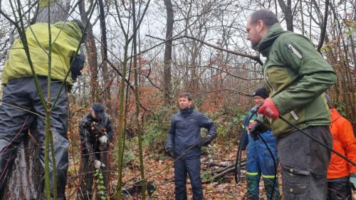 Koordination og gode forslag