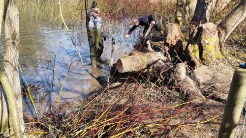 Magnus og Stig hiver pil op med rode