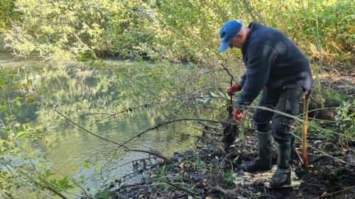 Arbejdsdag 27.9.25 Pilekrat hives op