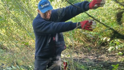 Arbejdsdag 27.9.25 Pilekrat hives op