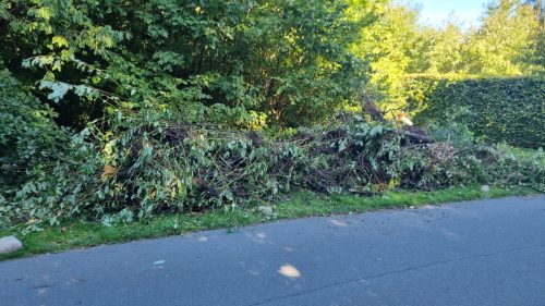 Arbejdsdag 27.9.25 Bunke til afhentning