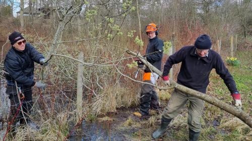 Arbejdsdag 12. april 2023_02