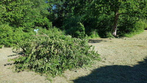 Arbejdsdagen_14_6_2020_Dagen (12)