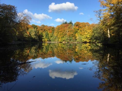 Brededam_Efterår. Foto: Lis Nørholm